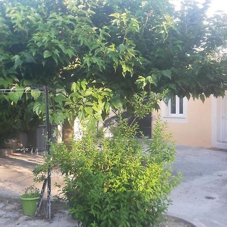 Ogooue Studio Carpentras Dış mekan fotoğraf